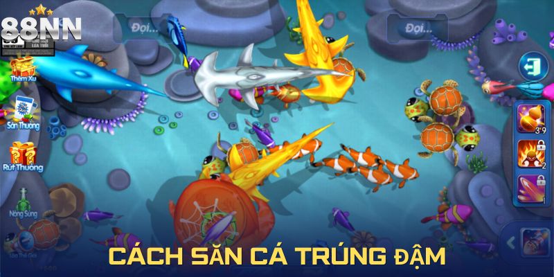Bắn cá vàng H5 - Bí quyết săn cá trúng đậm từ cao thủ lâu năm