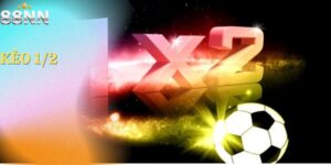 Kèo 1/2: Tìm Hiểu Khái Niệm Và Cách Soi Kèo Đơn Giản Nhất
